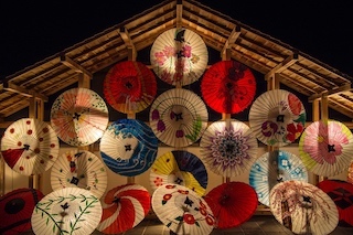 Japanese Umbrellas